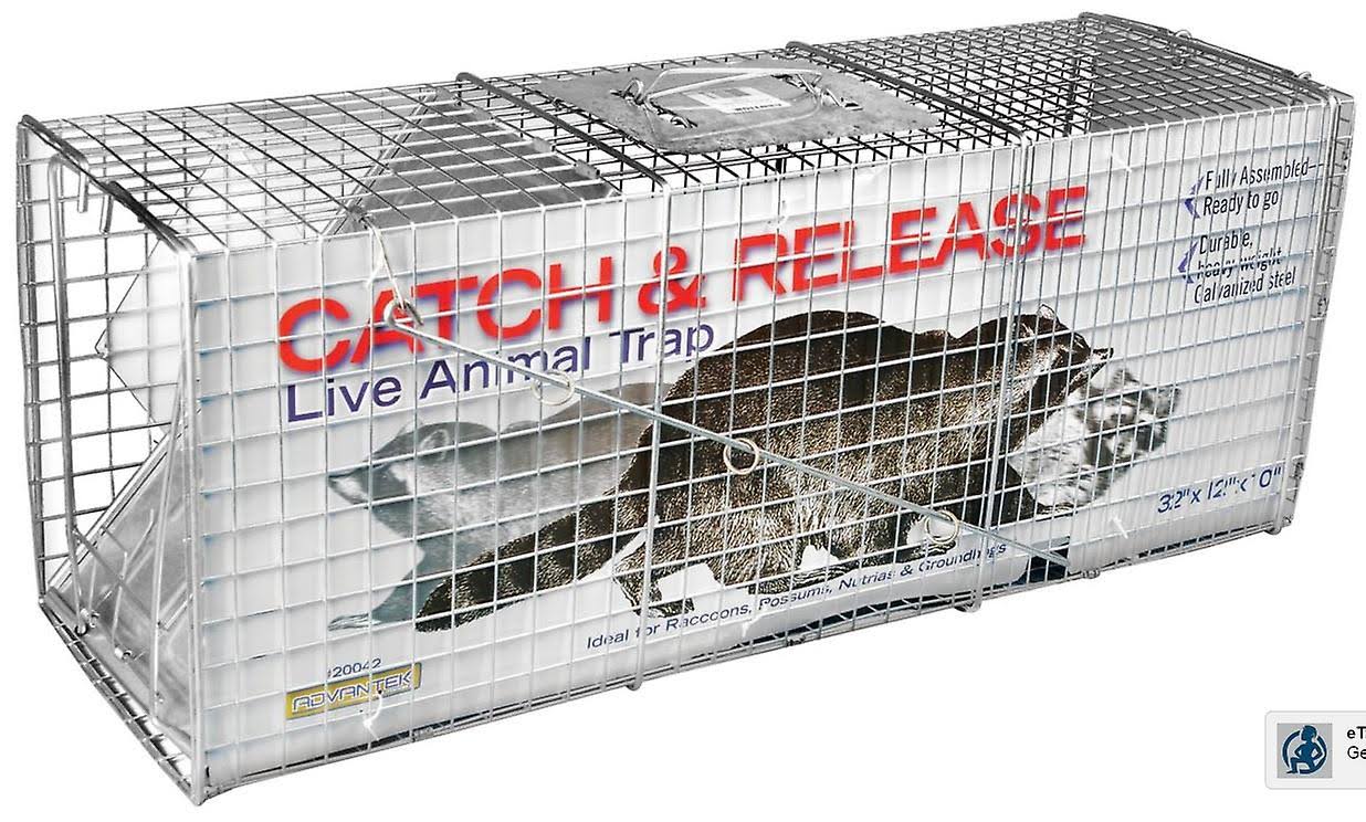 1-Door Catch-And-Release Live Animal Trap