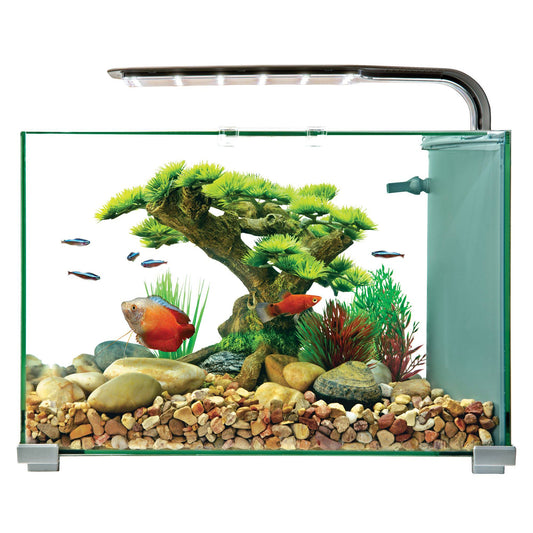 Premium Glass Aquarium Tank