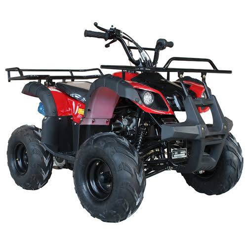 125cc Atv For Sale Youth Kid Atv 4 Wheeler Quad,Remote Control, Big 16 Tires