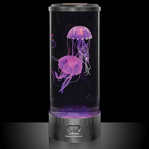 The Hypnotic Jellyfish Aquarium