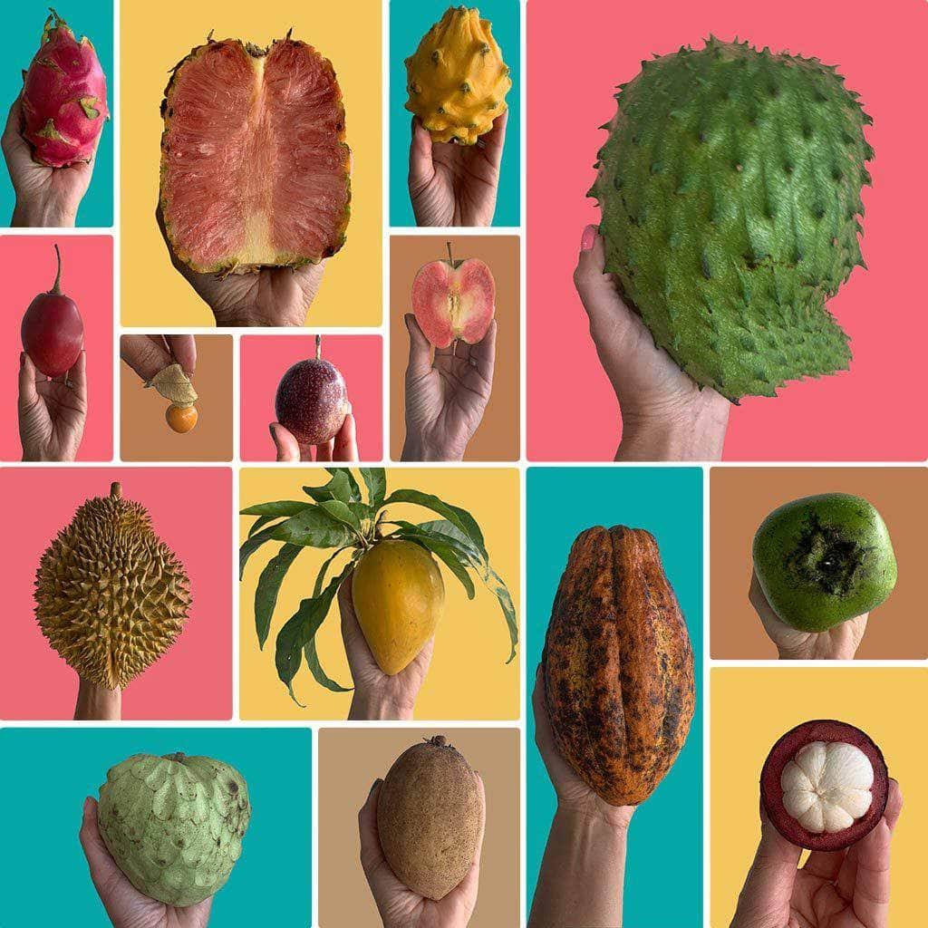 Your Own Exotic Fruit Box And Pick The Exotic Fruits You Want