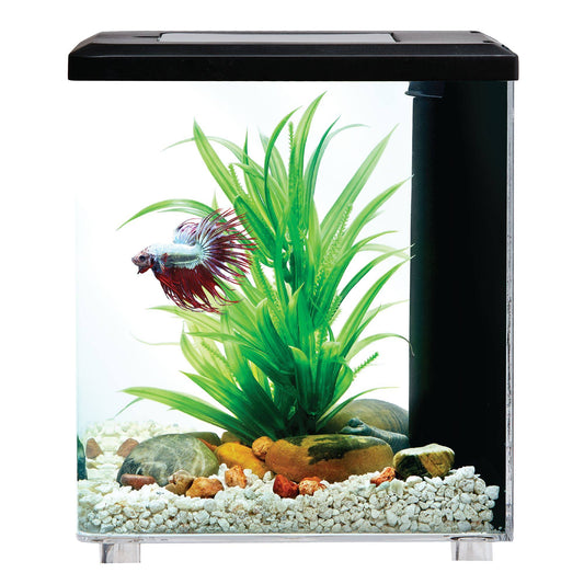 Modern Betta Aquarium Tank