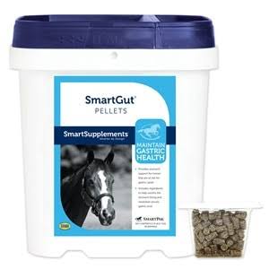 Pellets - Maintanence Dose Equine Ulcer Medication & Gastric Health Supplements