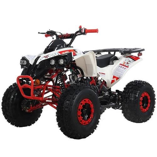 125cc Atv 4 Wheels Quad 125 Atv Quads With Automatic Transmission W/Reverse, Big 19/18tires