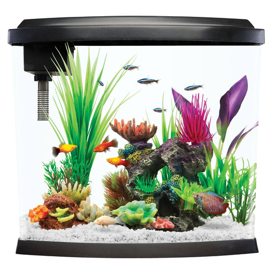 Split Bowfront Aquarium Tank