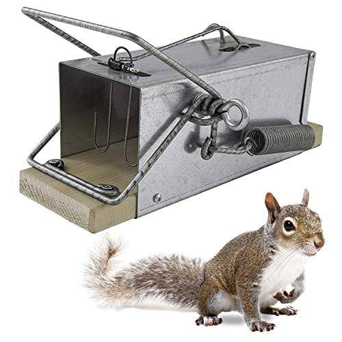 Ouell Traps Squirrel Ouell Traps Outdoor