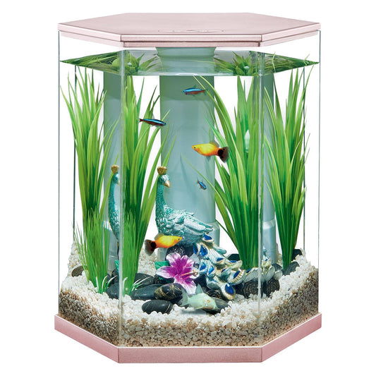 Rose Gold Style Aquarium Tank